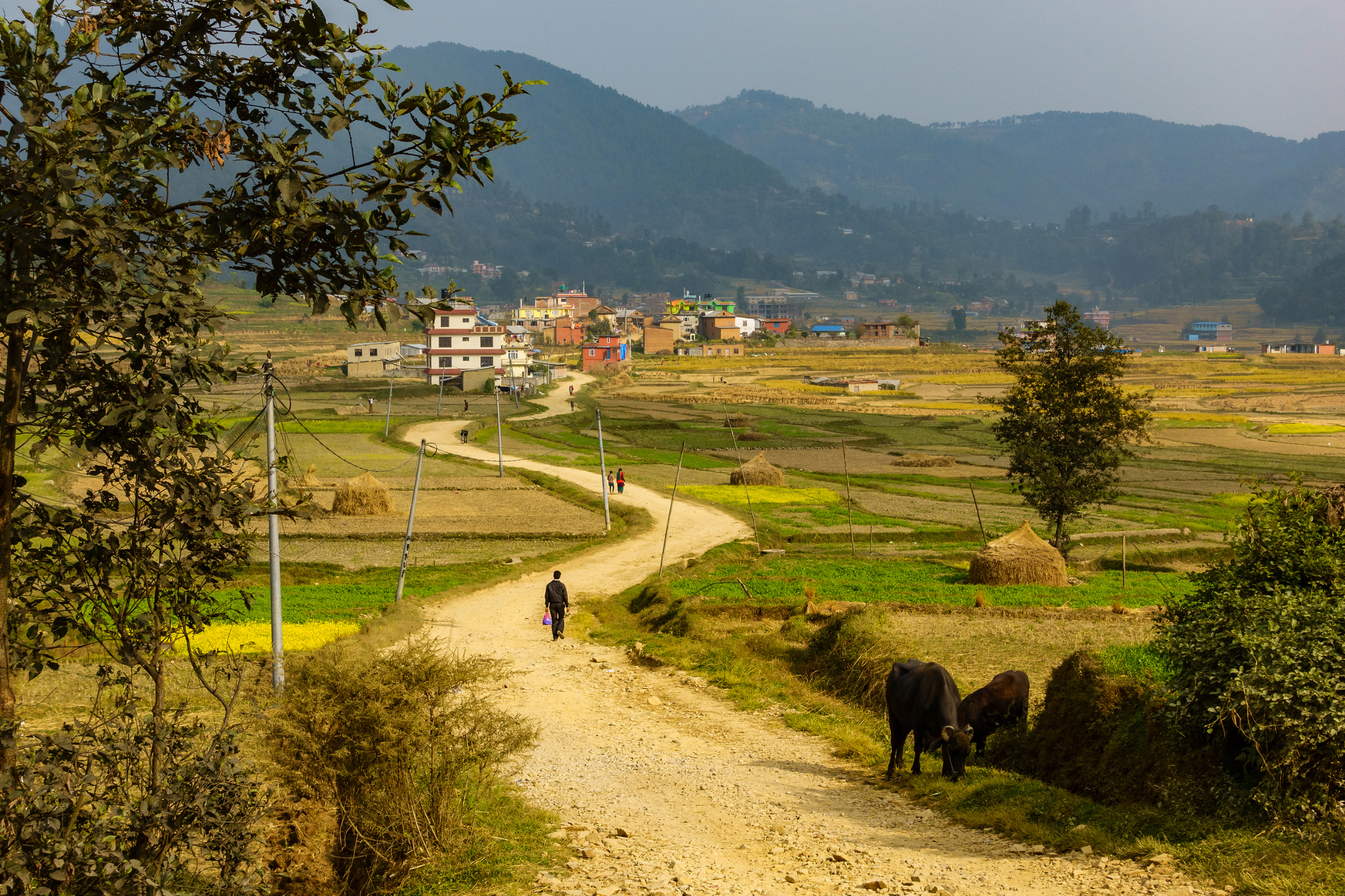 panauti (4).webp